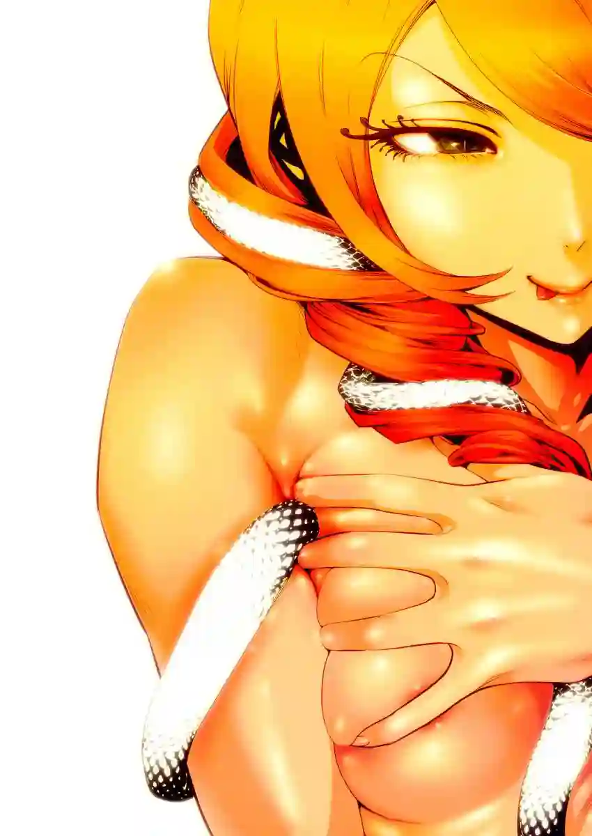 GAMPUKU 眼福 平本彰画集全一卷