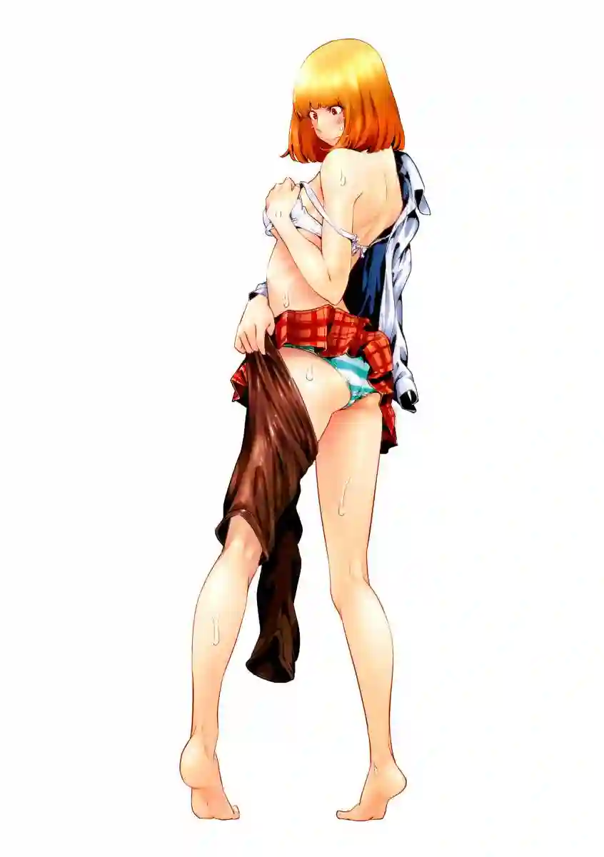 GAMPUKU 眼福 平本彰画集全一卷