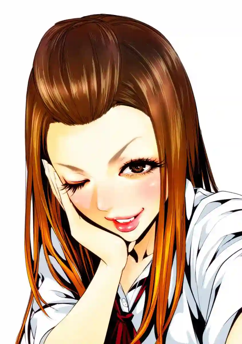 GAMPUKU 眼福 平本彰画集全一卷