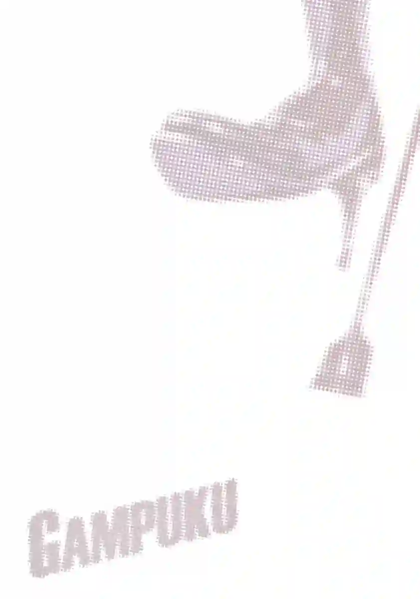 GAMPUKU 眼福 平本彰画集全一卷