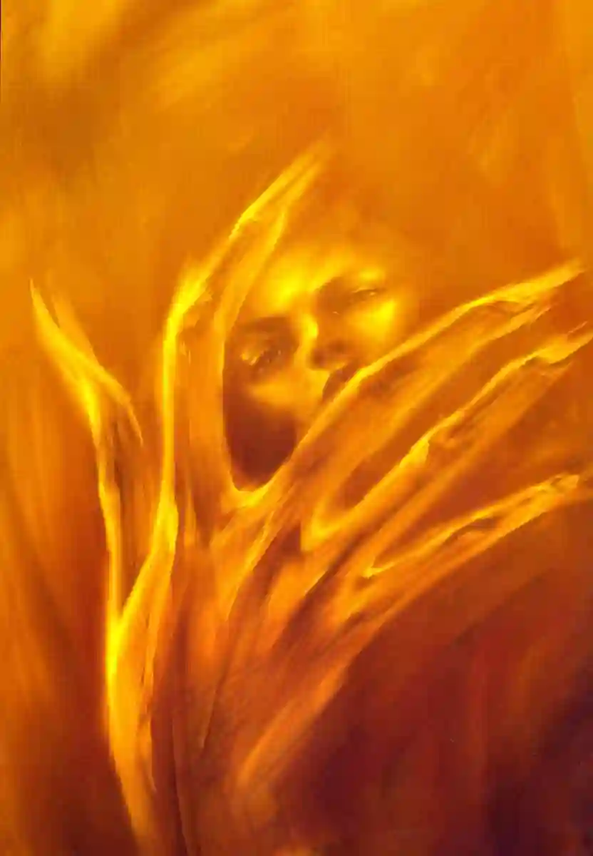 GAMPUKU 眼福 平本彰画集全一卷