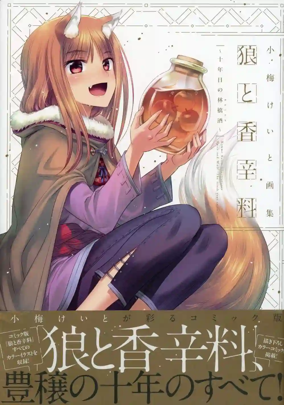 狼与香辛料~十年目の林檎酒全一卷