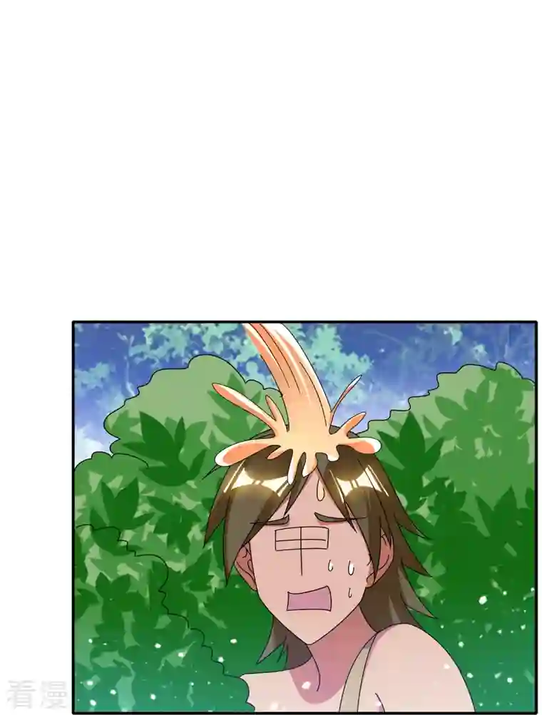 极品败家子第308话 特种作战