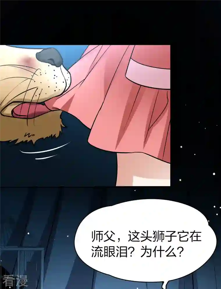 寻找前世之旅番外篇12 司音番外Just one day06