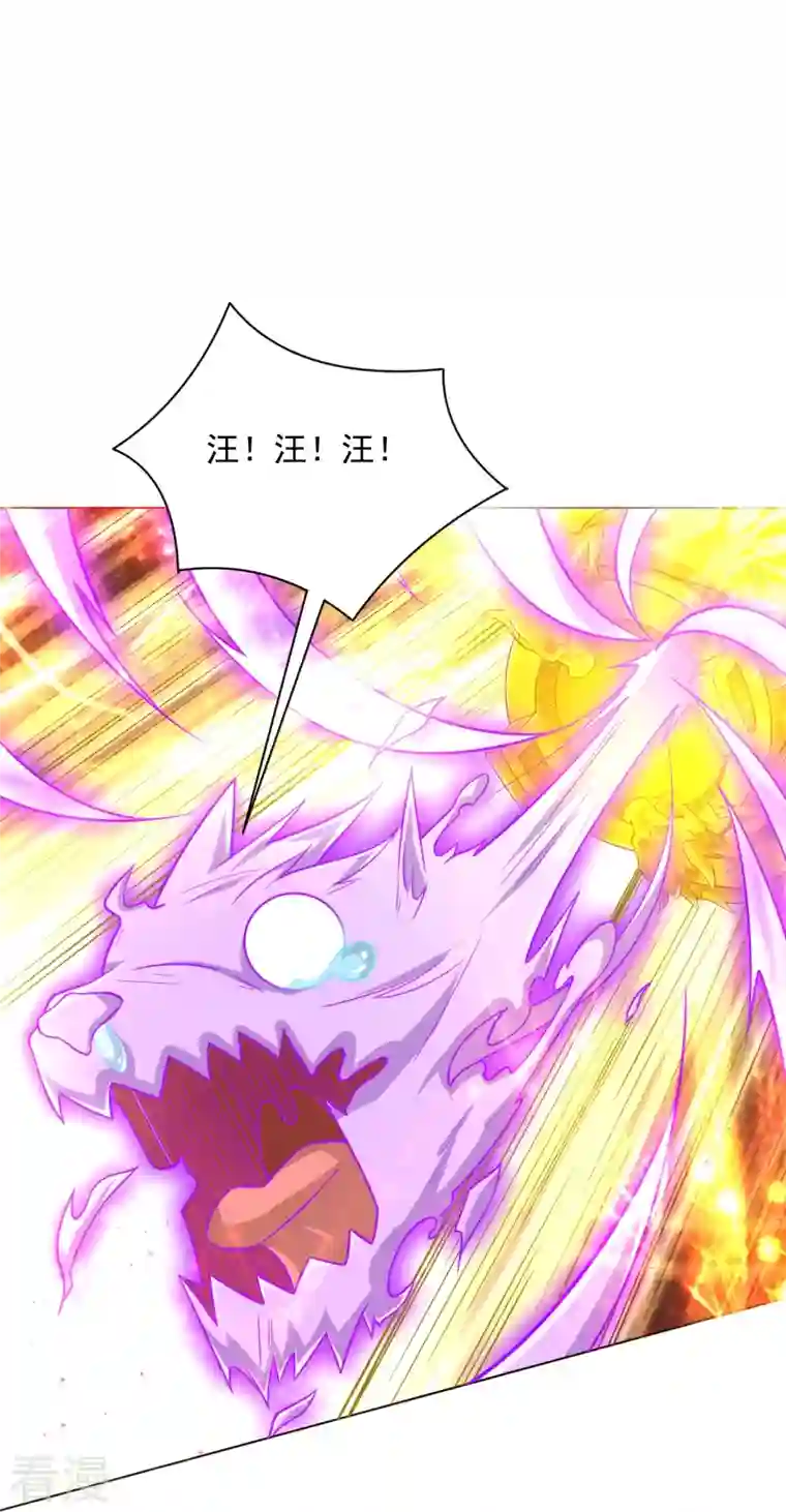 一等家丁第300话 帝品舍利