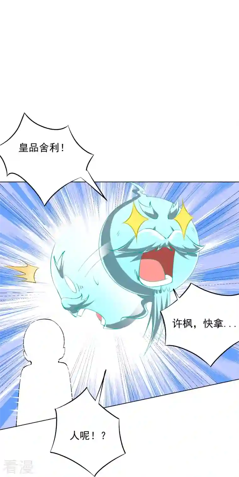 一等家丁第300话 帝品舍利