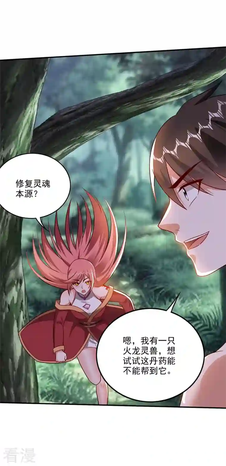 最强神医混都市第255话 骗到一颗丹药