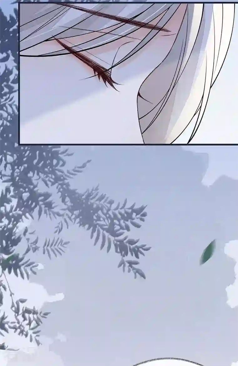 太后裙下臣第136话 拿下帝师之位？