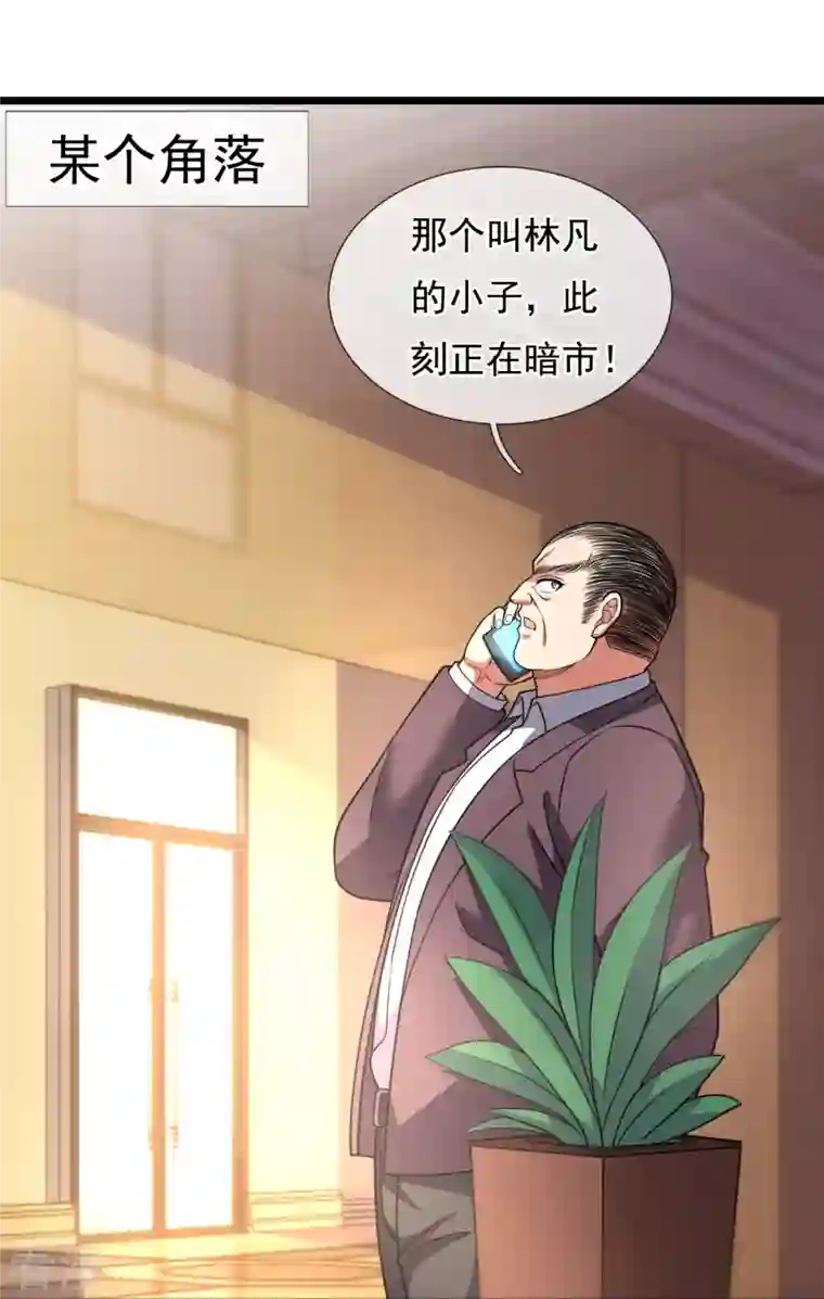 都市之逆天仙尊第257话 暗市