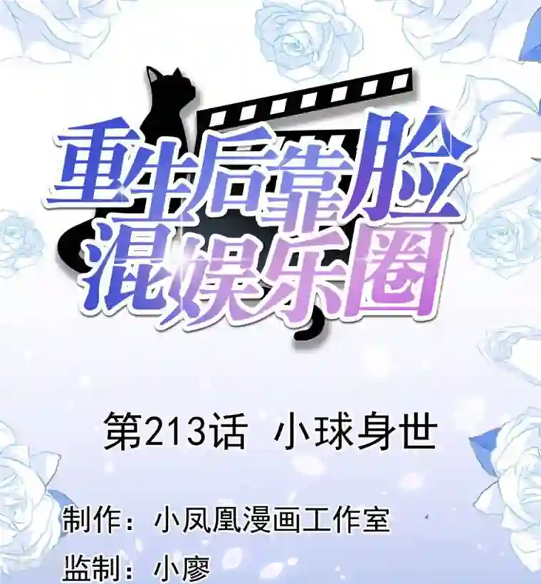 重生后靠脸混娱乐圈第213话 小球身世