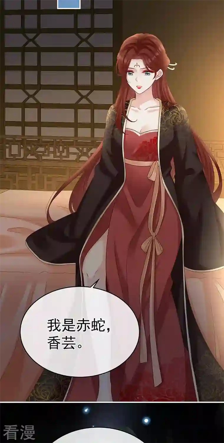 娇夫有喜第71话 生很多蛇宝宝