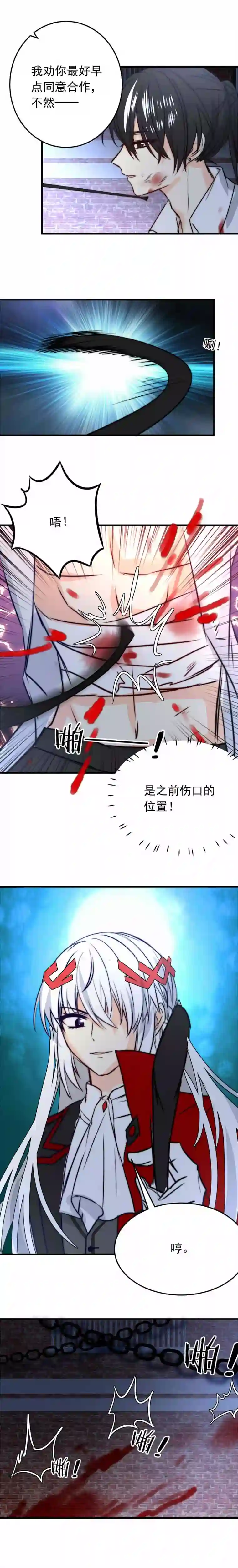 我愿为你献上黎明血