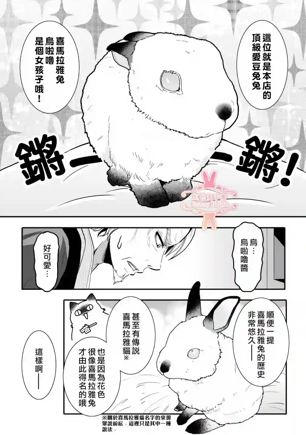 极道兔兔第13话