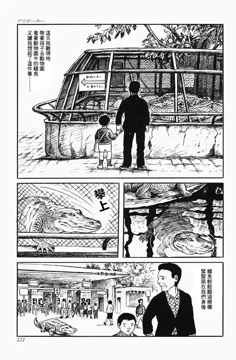 诸星大二郎短篇短吻鳄