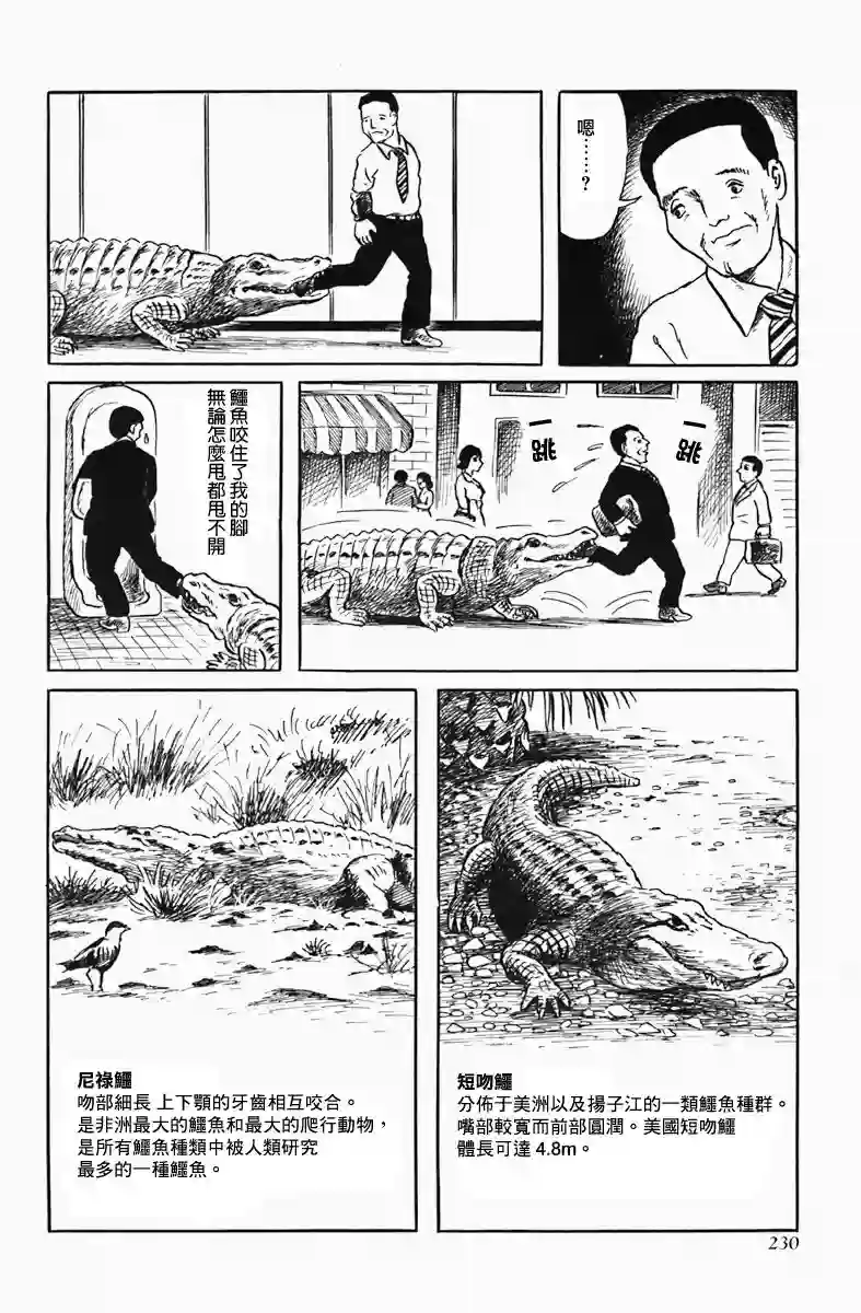 诸星大二郎短篇短吻鳄