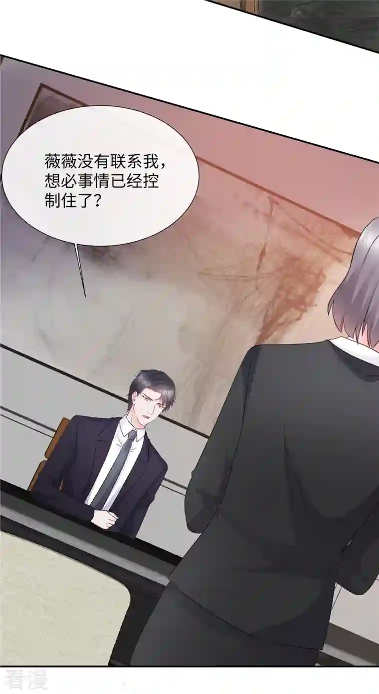 若有寒冬遇暖阳第33话 宠妻狂魔叶总