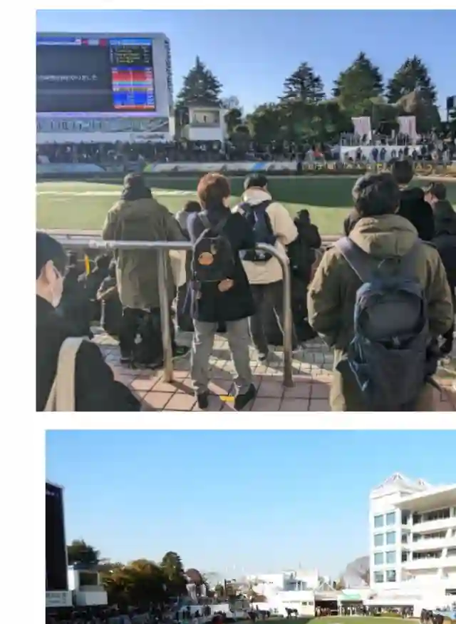 赛马娘：芦毛灰姑娘第69话