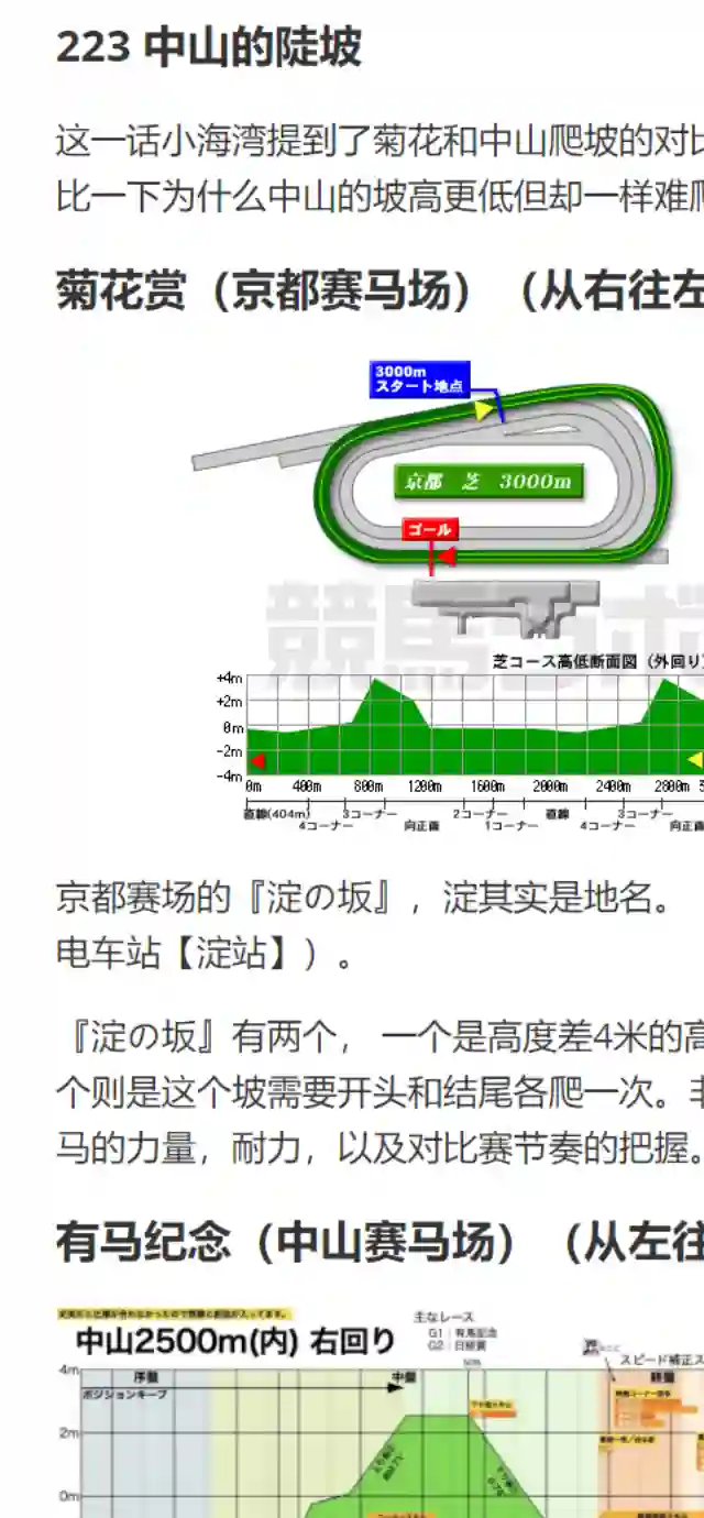 赛马娘：芦毛灰姑娘第69话