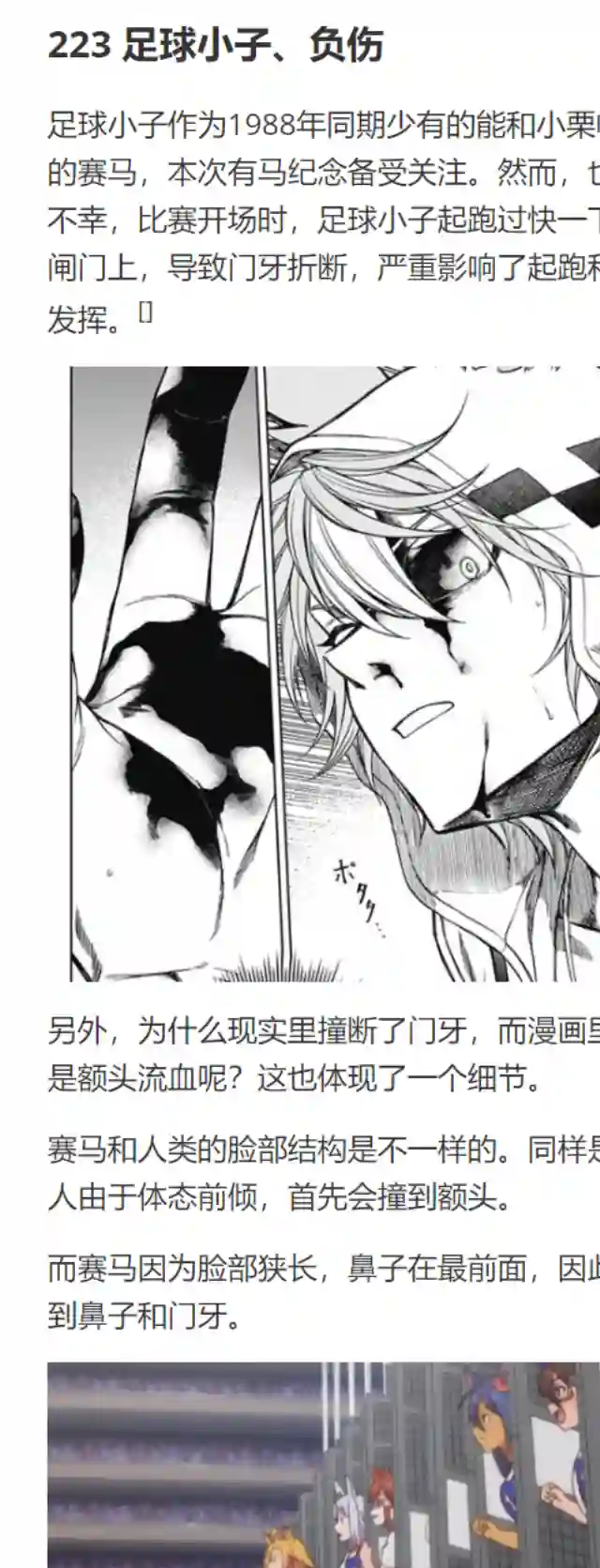 赛马娘：芦毛灰姑娘第69话