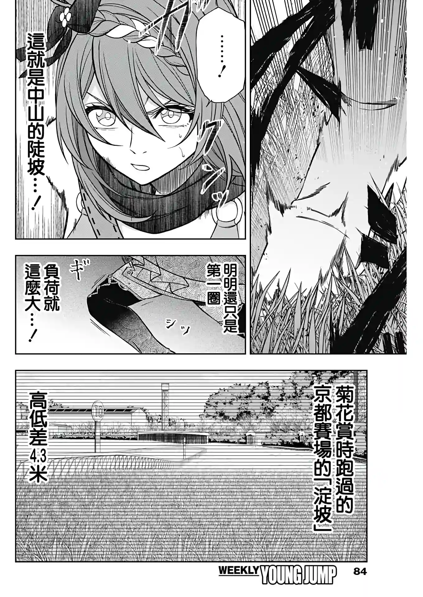 赛马娘：芦毛灰姑娘第69话