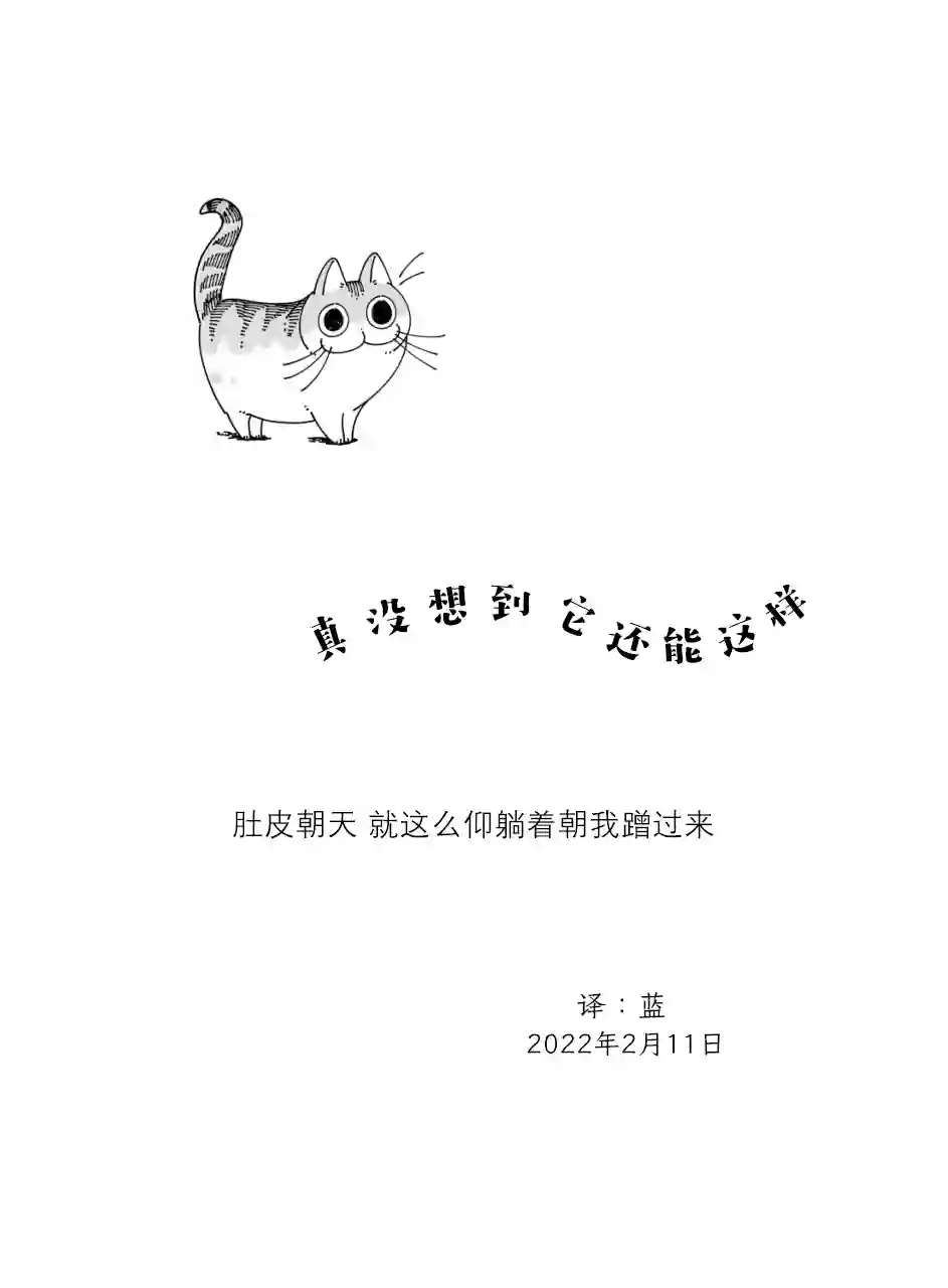关于养猫我一直是新手第103话