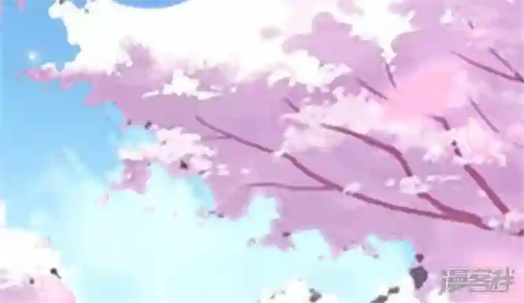 我的血族大人第84话 樱花卷