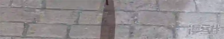 我的血族大人第102话 二小姐落水了