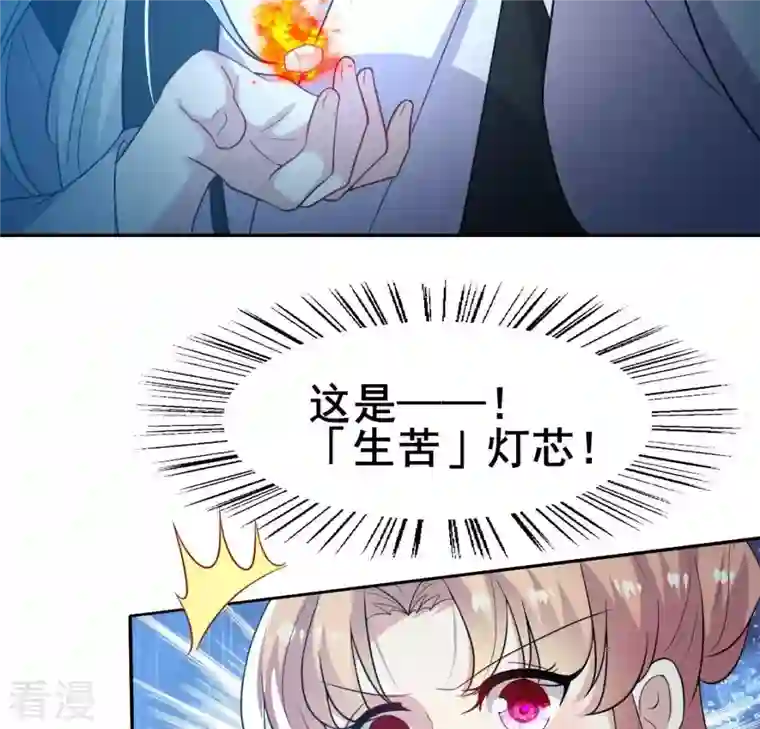 我的血族大人第203话 被夺走的灯芯