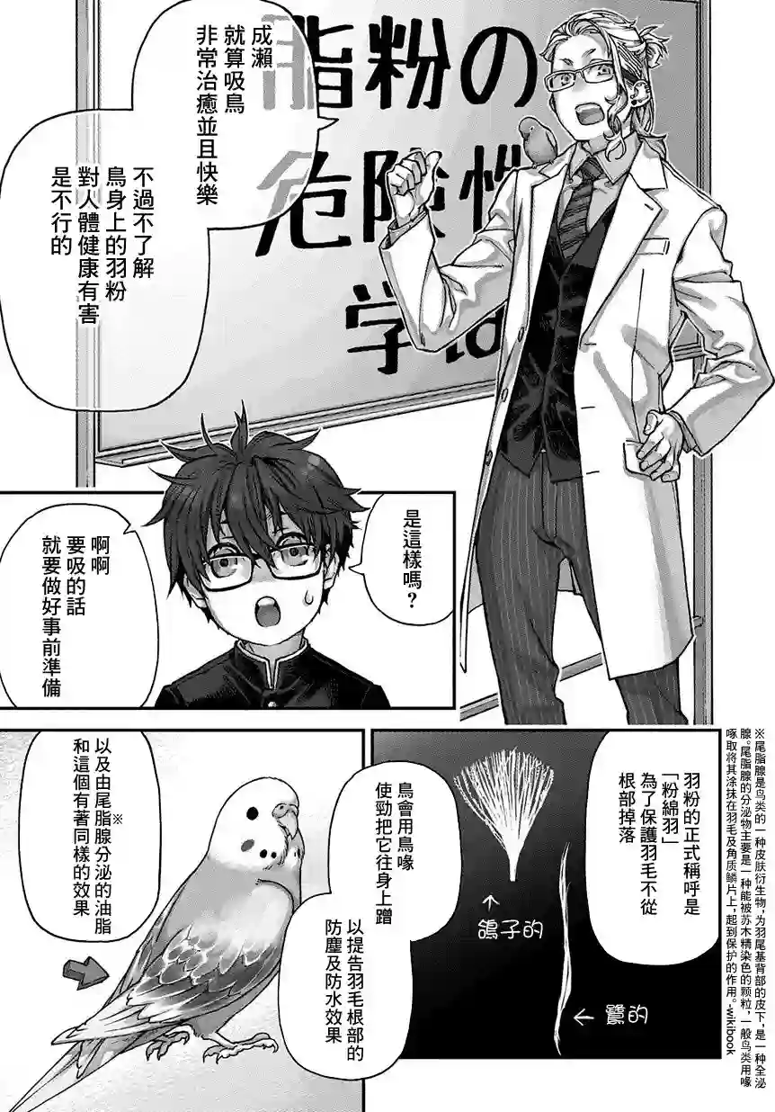 鸟成瘾者第01话