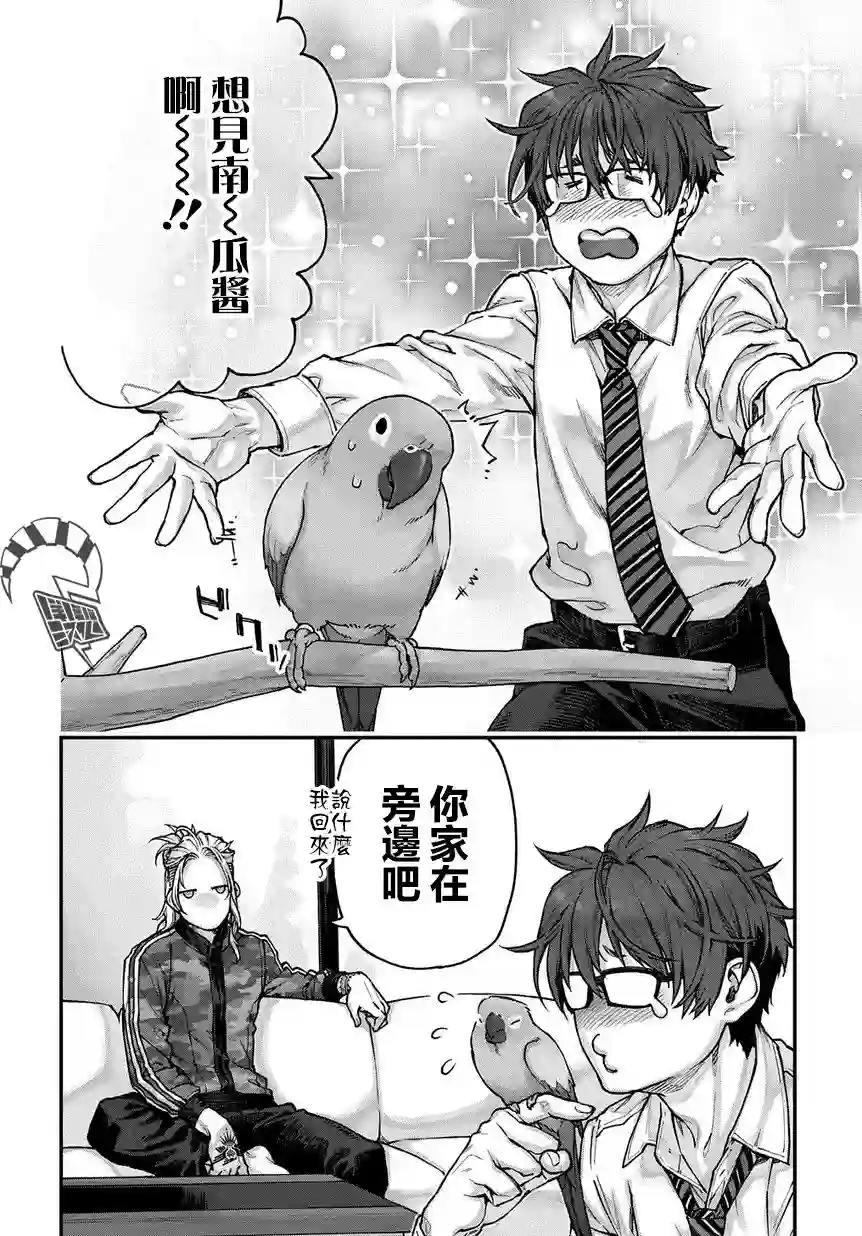 鸟成瘾者第02话