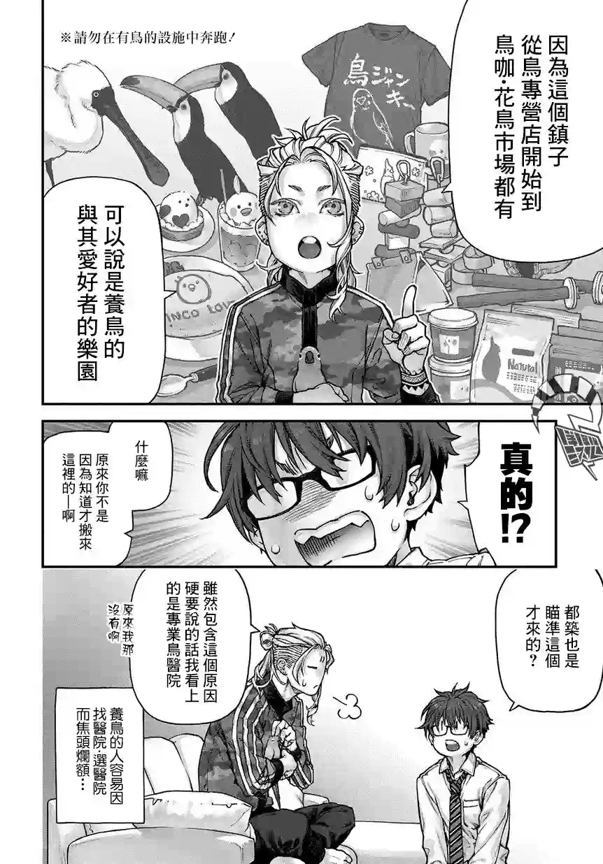 鸟成瘾者第02话