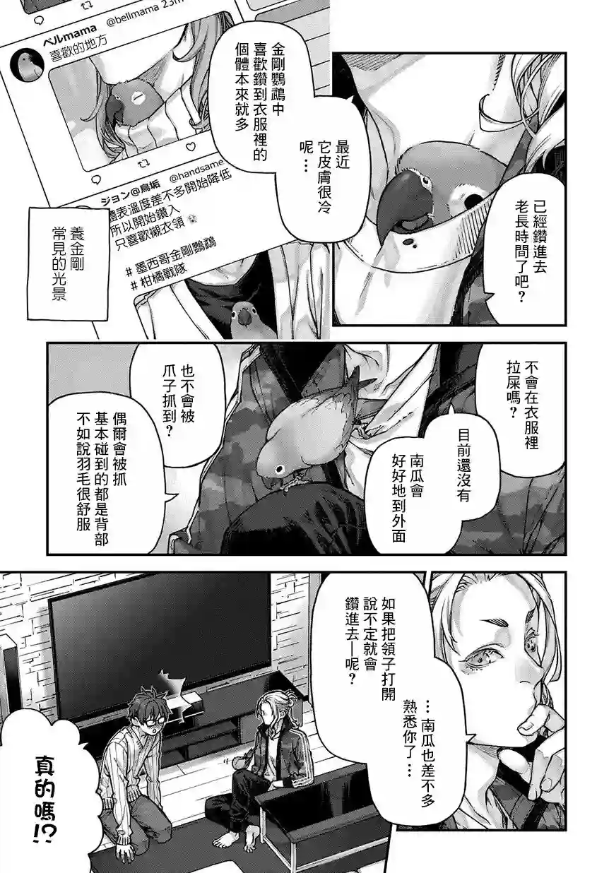 鸟成瘾者第03话