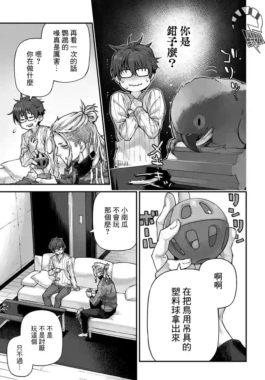 鸟成瘾者第04话