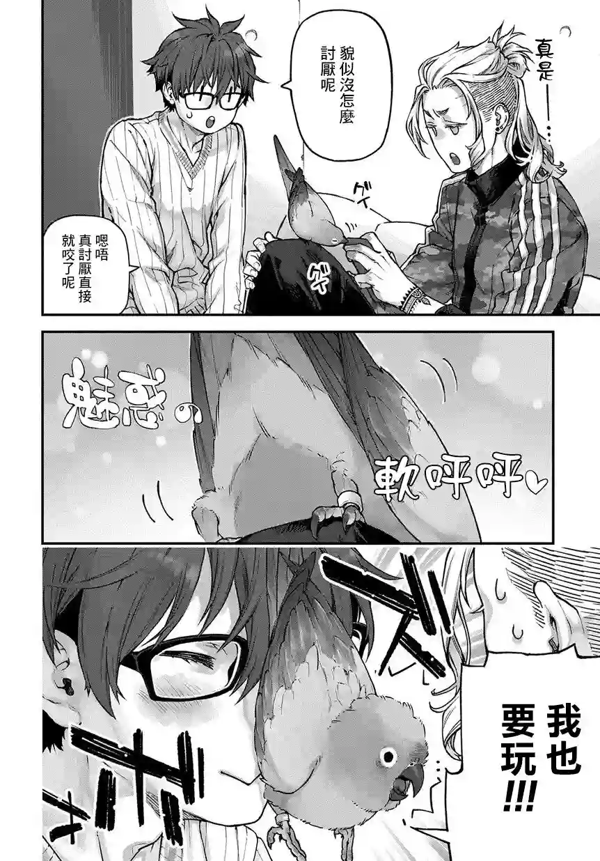 鸟成瘾者第05话