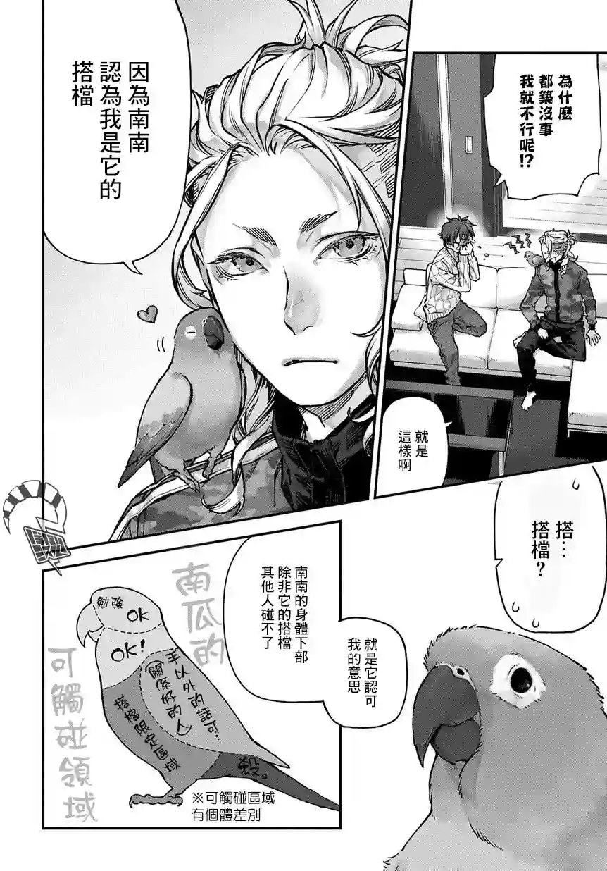 鸟成瘾者第05话