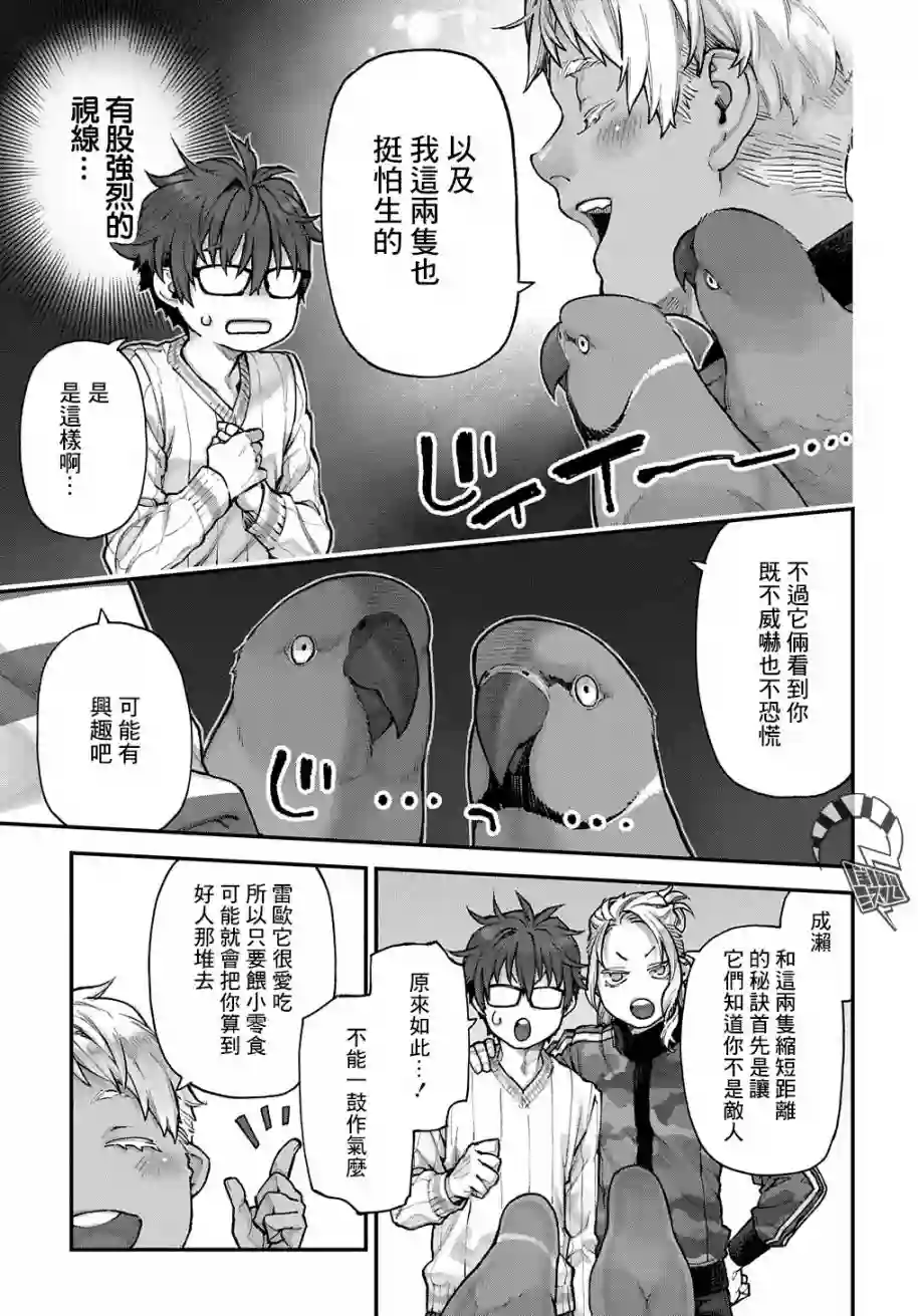 鸟成瘾者第08话