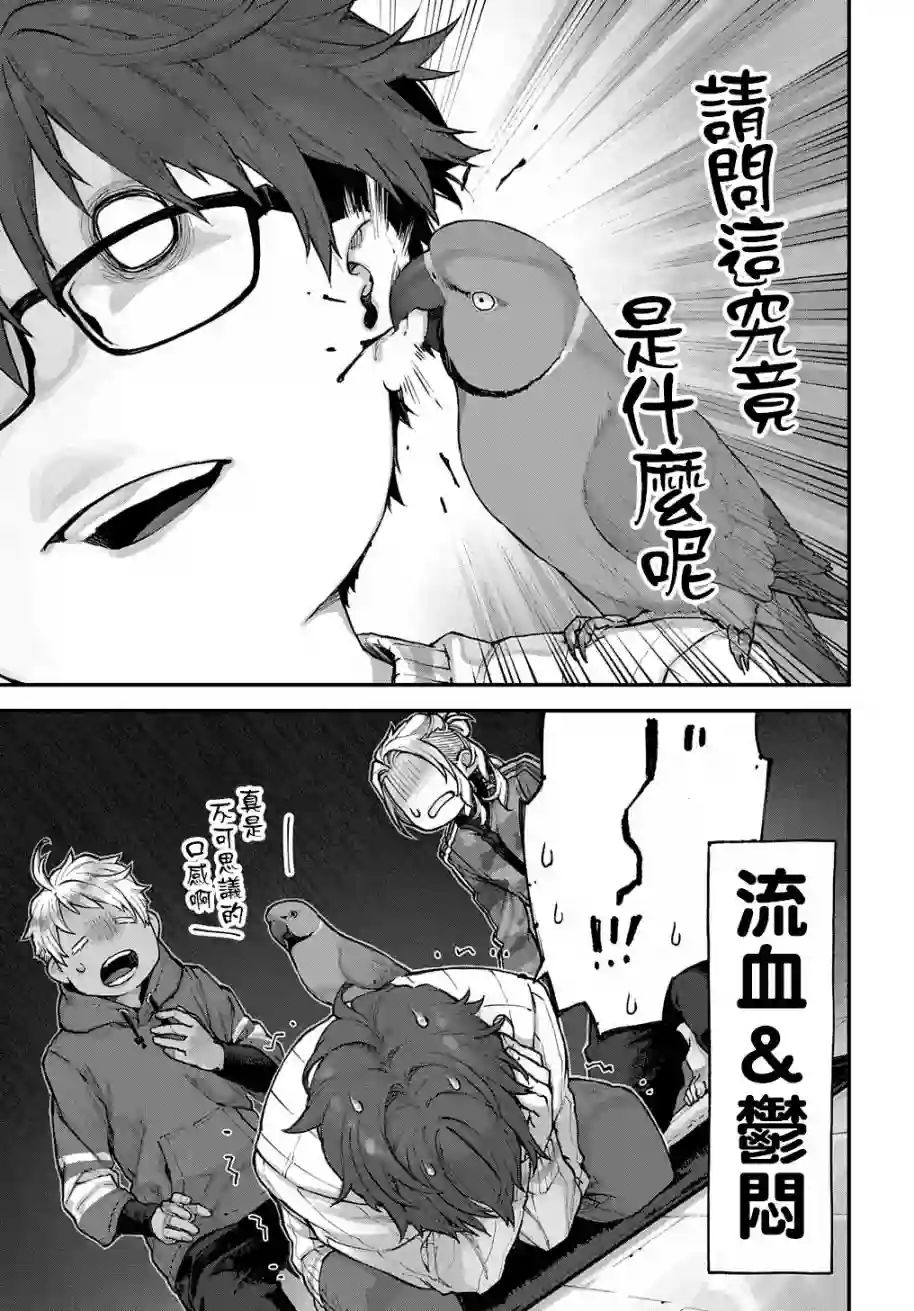 鸟成瘾者第08话