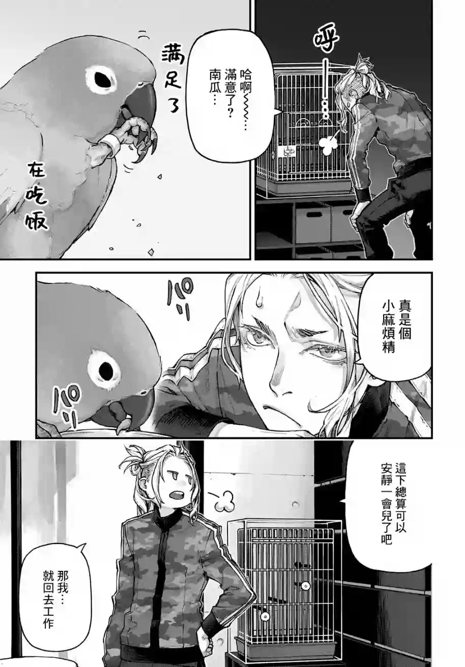鸟成瘾者第10话