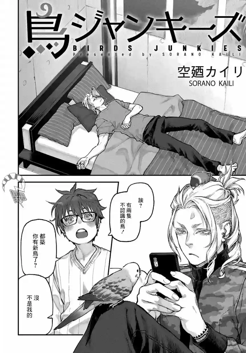鸟成瘾者第11话