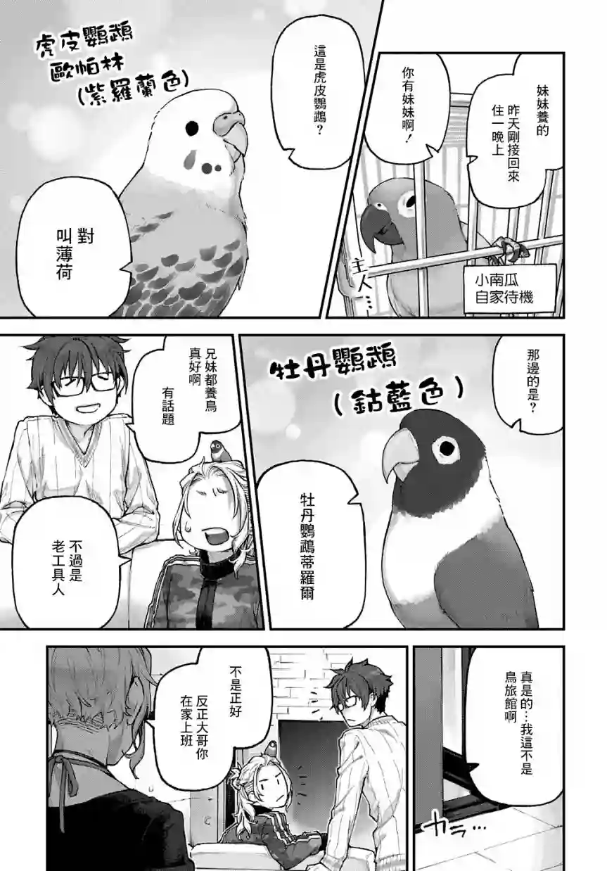 鸟成瘾者第11话