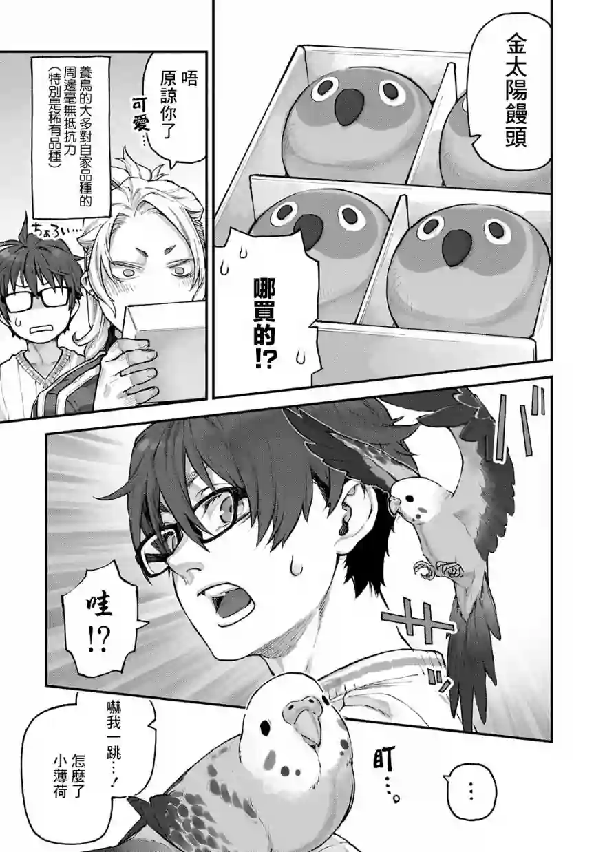 鸟成瘾者第11话