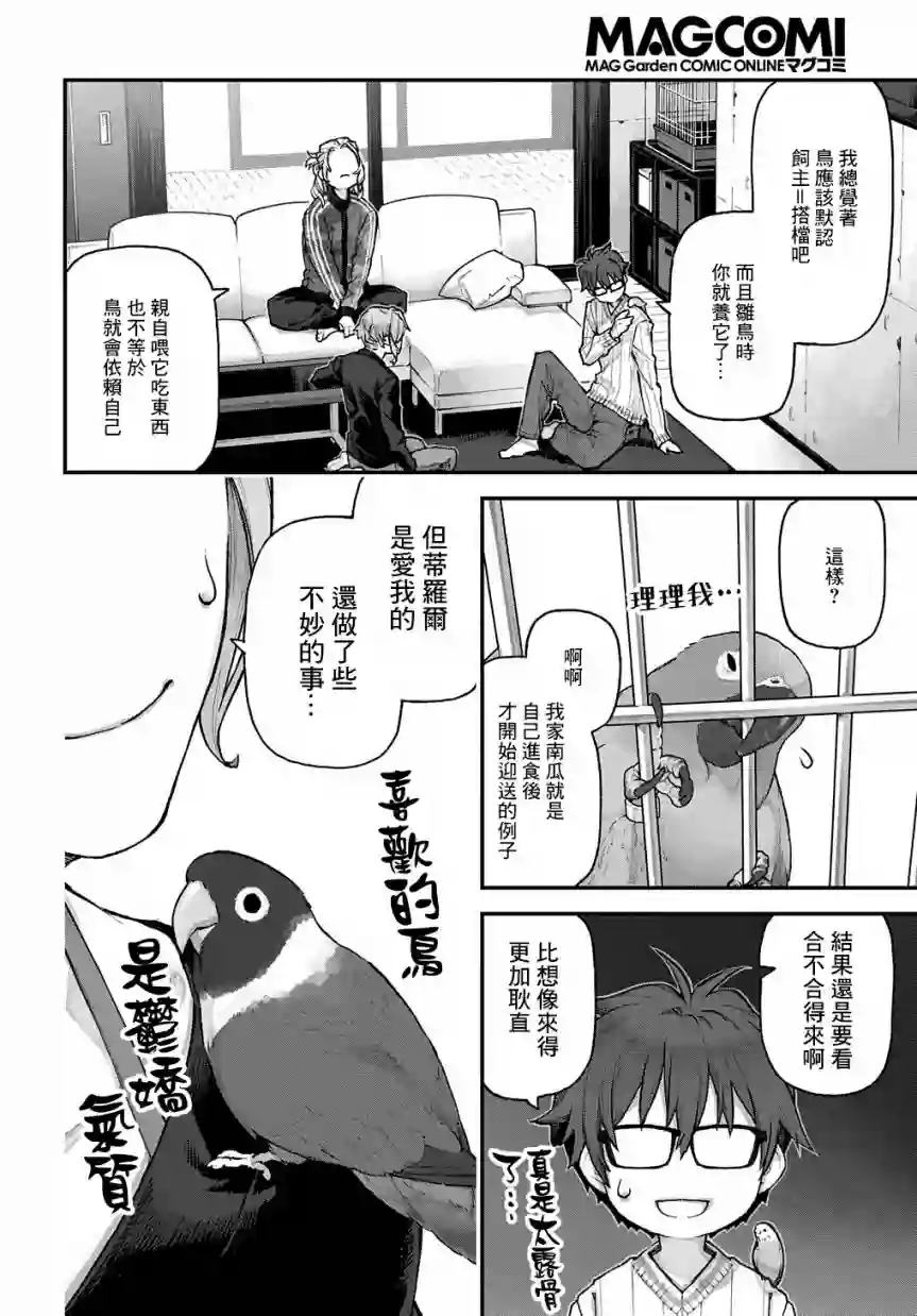 鸟成瘾者第11话