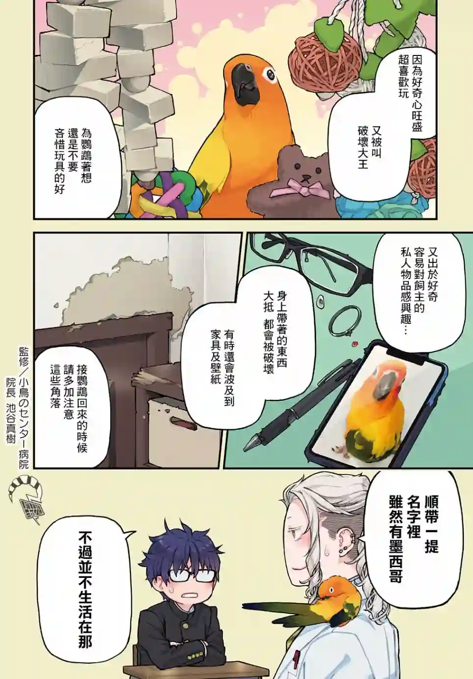 鸟成瘾者第13话