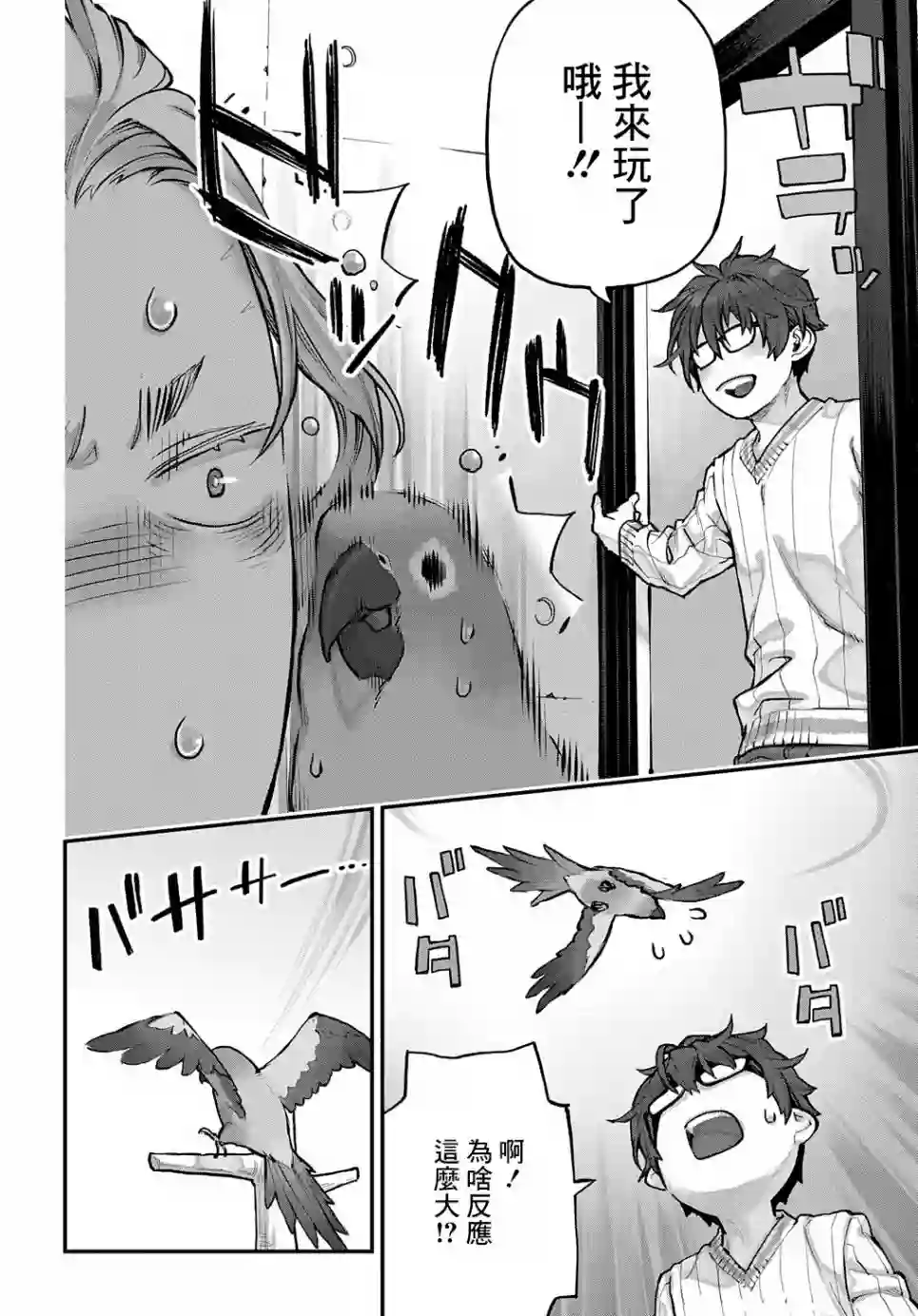 鸟成瘾者第13话