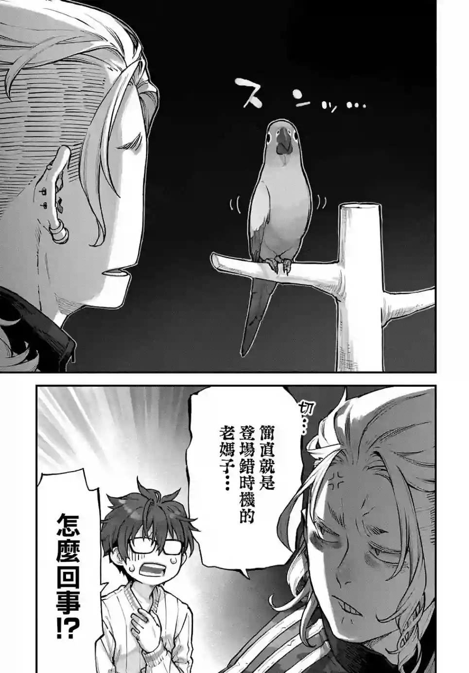 鸟成瘾者第13话