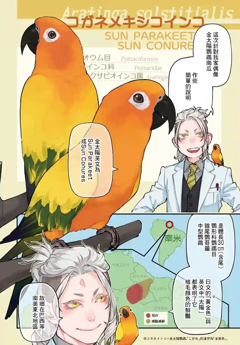 鸟成瘾者第13话