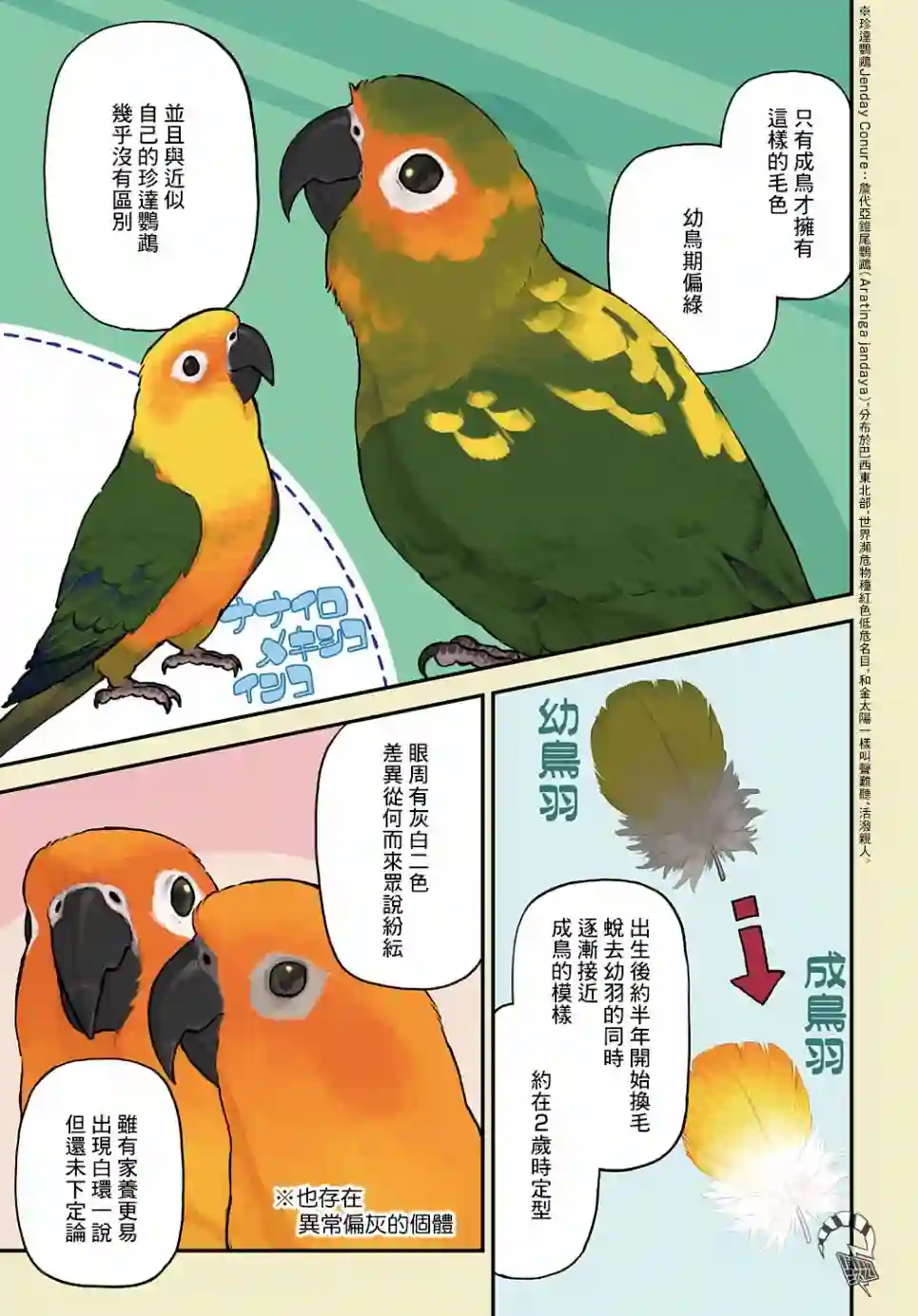 鸟成瘾者第13话