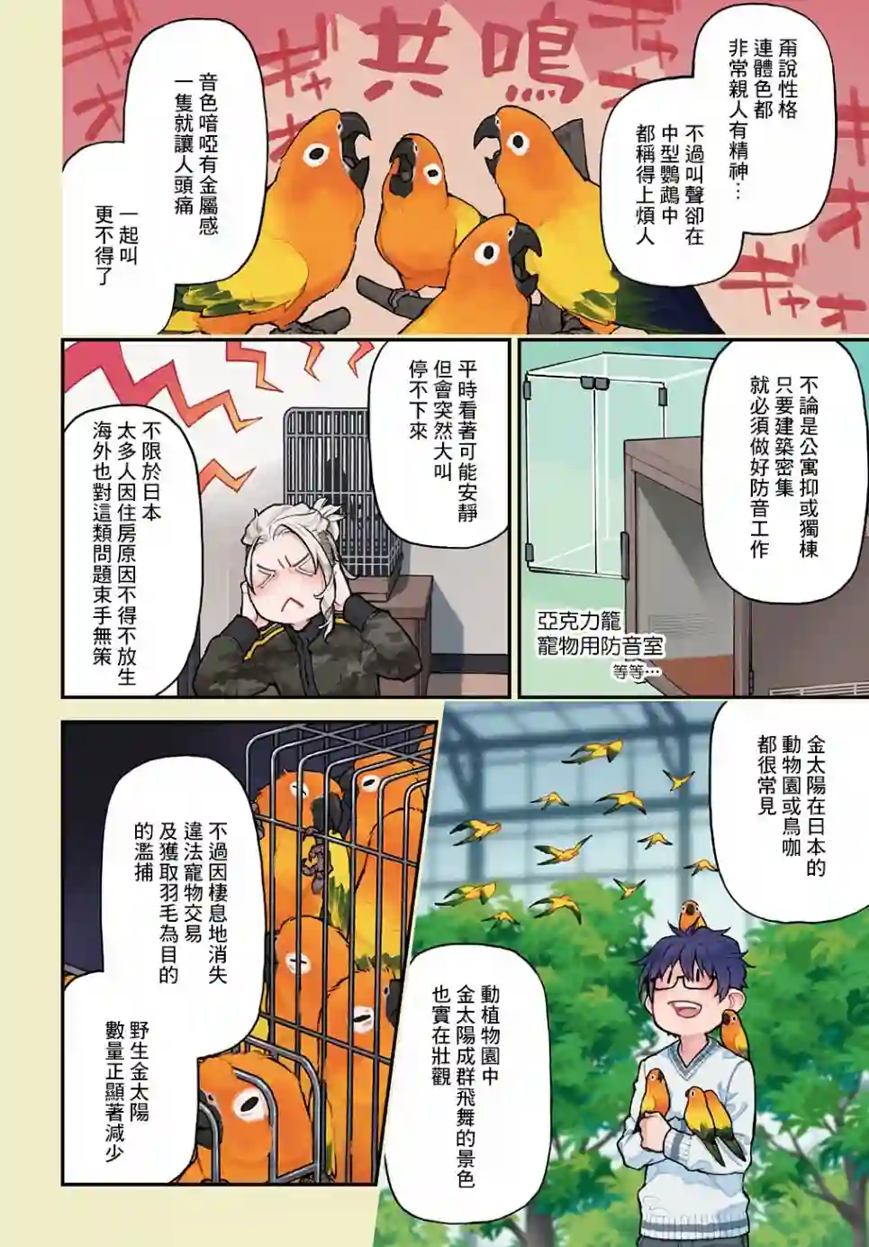 鸟成瘾者第13话