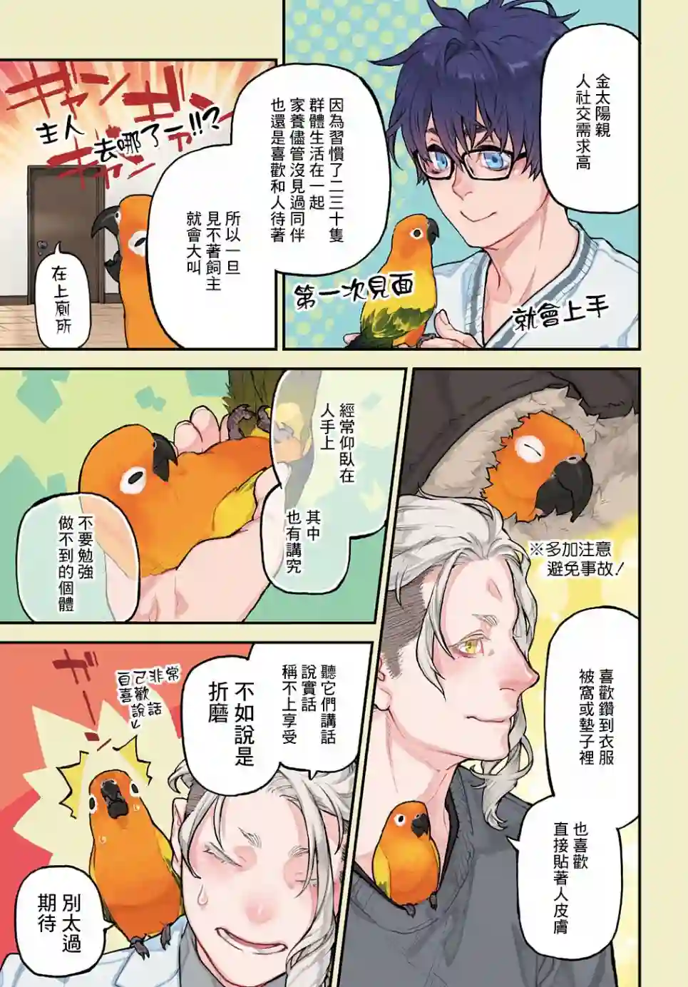 鸟成瘾者第13话