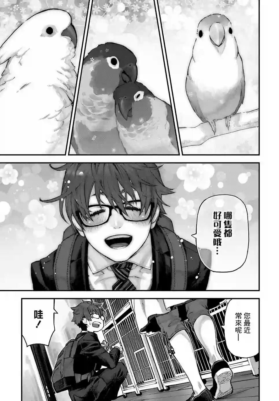 鸟成瘾者第14话